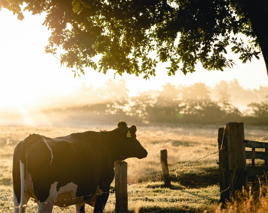 Aston-shaw-agriculture-1